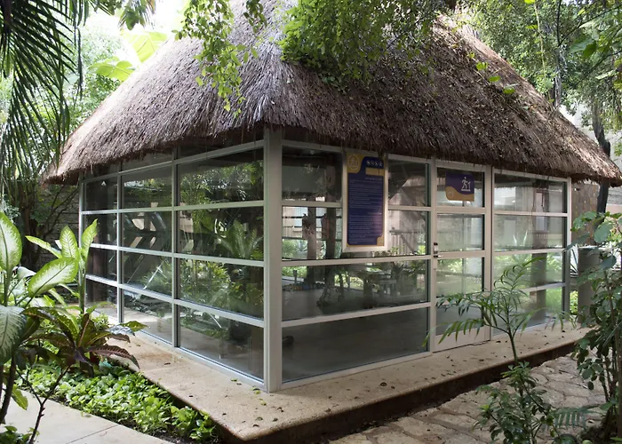 Hotel Tukan Playa del Carmen